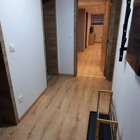 Le Cocon Des Pres Daire Saint-Hubert Dış mekan fotoğraf